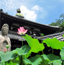 横浜市戸塚区の葬儀 お客様の声 寺院